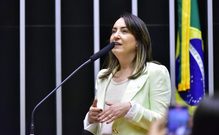 Deputada Rosângela Moro fala ao microfone