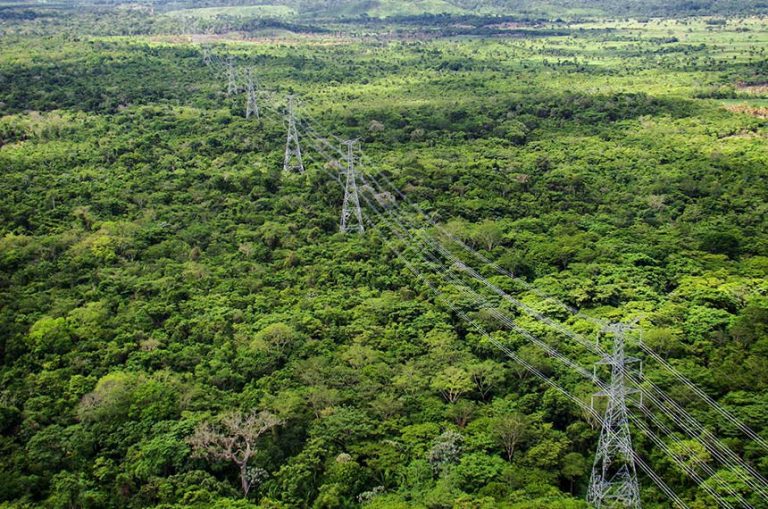 Linhas de transmissão de energia elétrica atravessam uma floresta. Amazônia