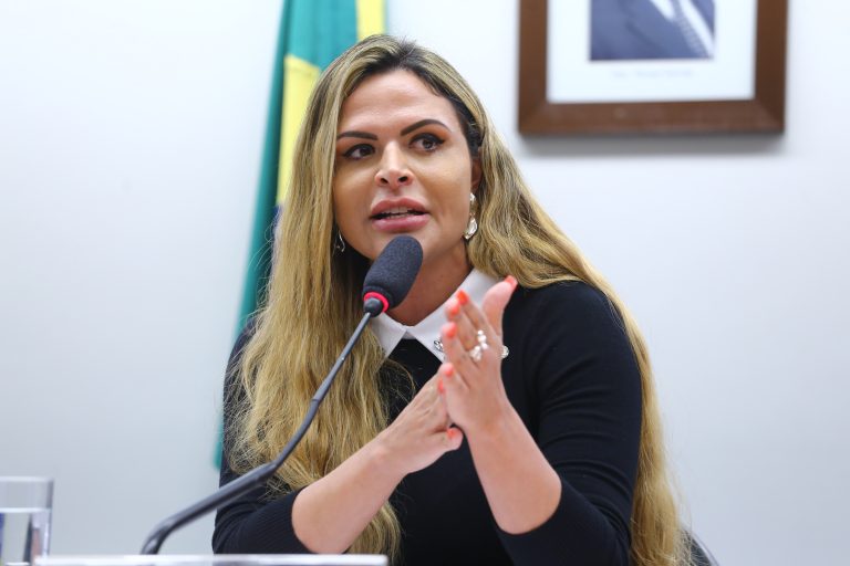 Audiência Pública - A importância da qualidade do atendimento pré-natal para a prevenção da violência obstétrica e da mortalidade materna. Dep. Silvye Alves (UNIÃO - GO)