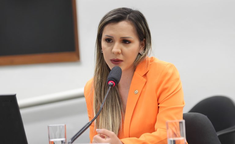 Audiência Pública - Atividade comemorativa em alusão aos 32 anos da lei de cotas para pessoas com deficiência no mercado de trabalho (lei nº 8.213/91). Dep. Andreia Siqueira (MDB-PA)