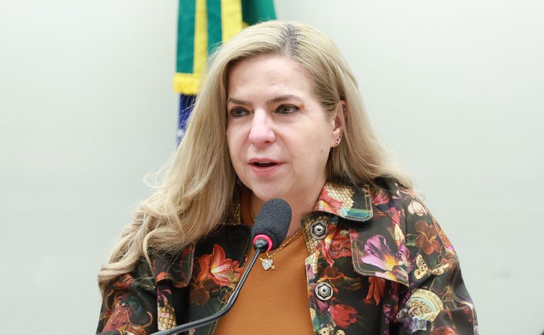 Luizianne Lins fala durante reunião de comissão