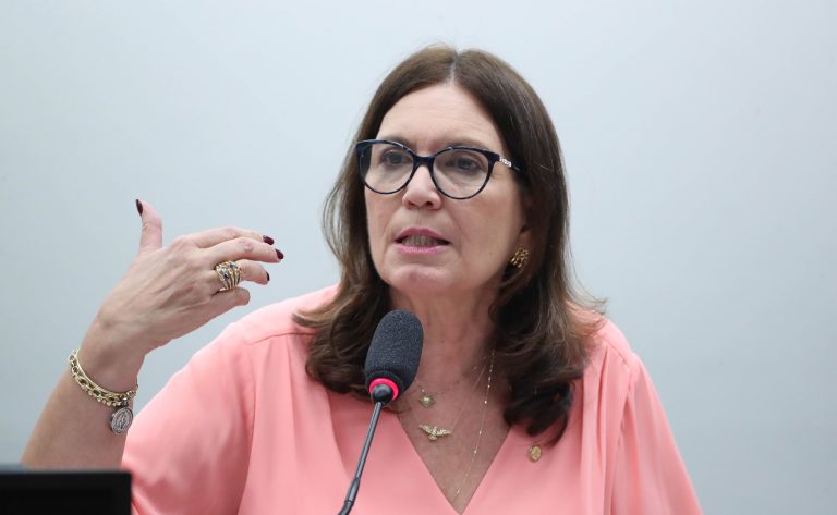 Bia Kicis fala durante reunião de comissão