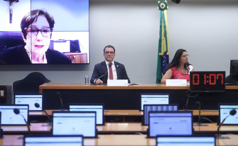 Audiência Pública - Violência doméstica e familiar e seus impactos no Poder Judiciário Brasileiro. Conselheiro do CNJ - Conselho Nacional de Justiça, Marcio Luiz de Coelho Freitas e Dep. Delegada Ione (AVANTE - MG)