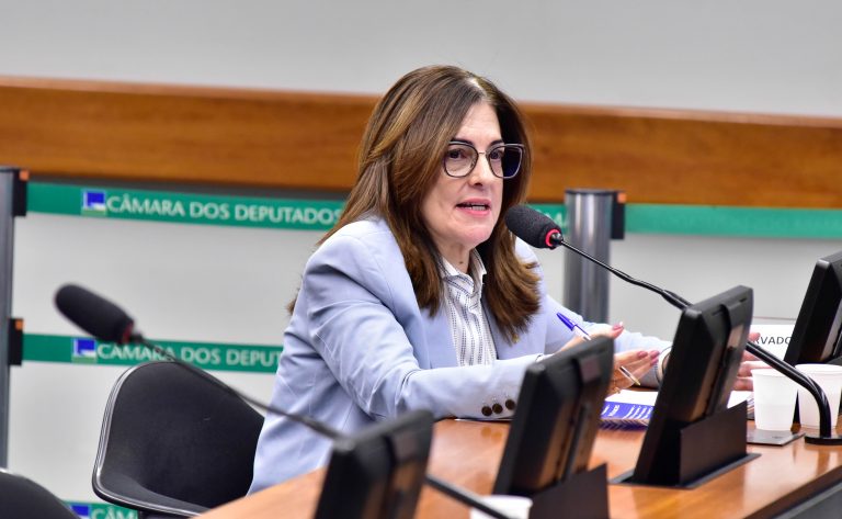 Rogéria Santos fala durante reunião de comissão