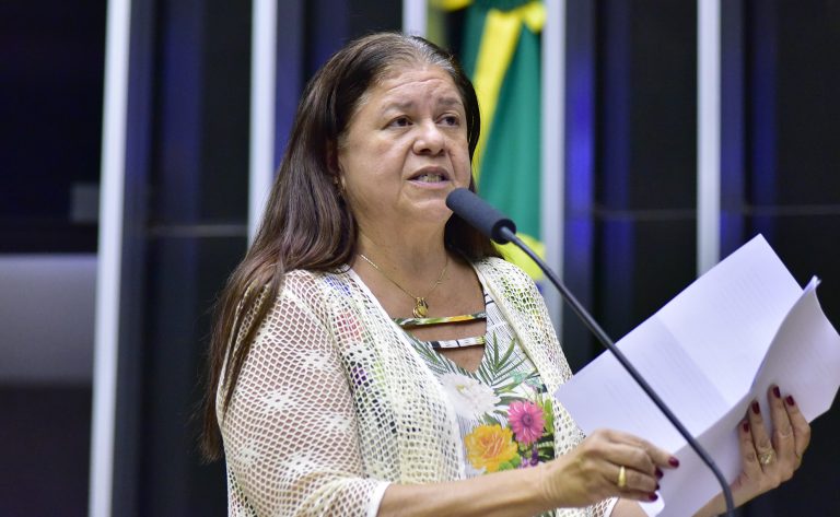 Laura Carneiro discursa na tribuna do Plenário 