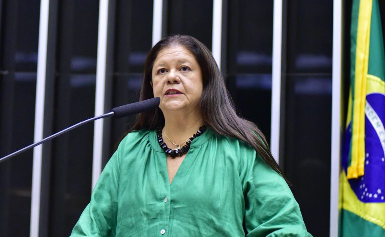 Laura Carneiro discursa na tribuna do Plenário