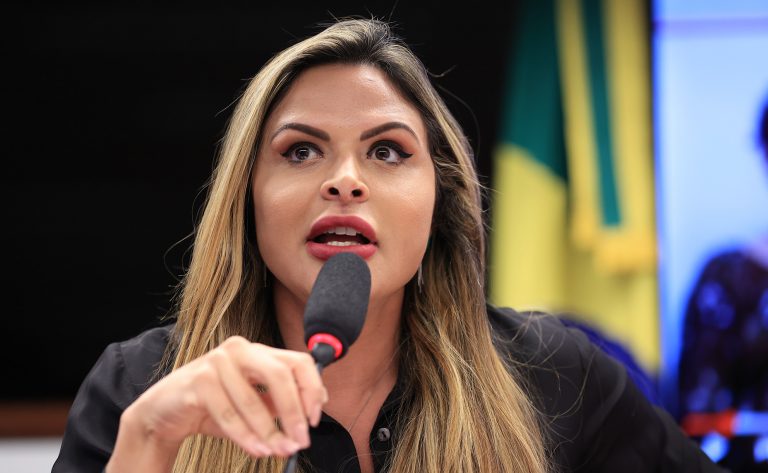 Audiência Pública - Marco Legal da Primeira Infância e a assistência humanizada à mulher. Dep. Silvye Alves (UNIÃO - GO)