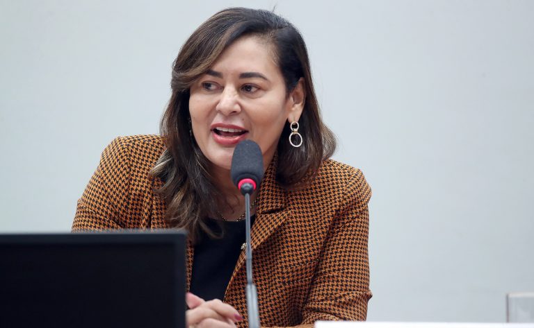 Dilvanda Faro fala durante reunião de comissão