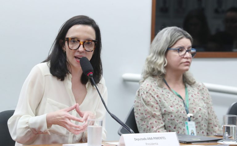 Eleição da presidente e das vice-presidentes. Dep. Ana Pimentel (PT - MG)