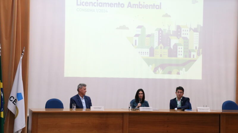 Natália Resende, secretária de Meio Ambiente, Infraestrutura e Logística do Estado.