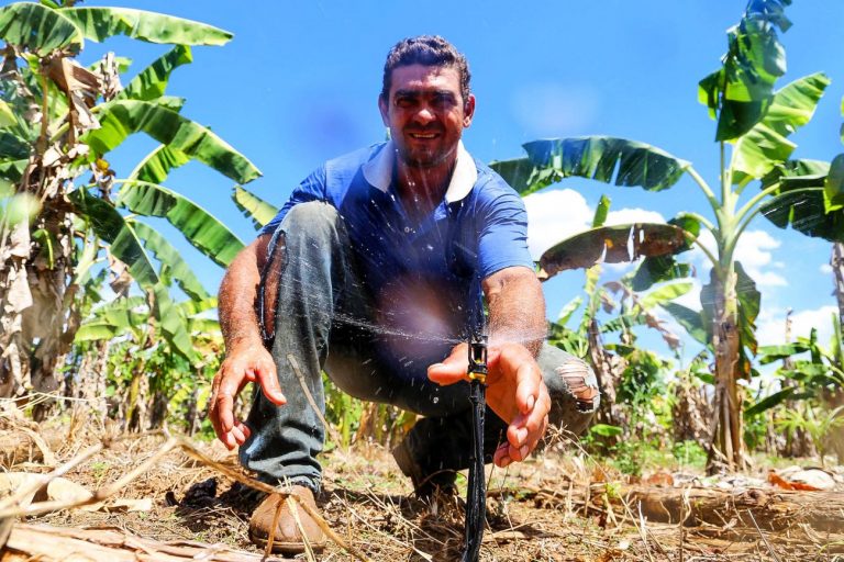 Agropecuária - plantações - agricultura sustentável sustentabilidade produtores rurais fazendas produtos agrícolas agronegócios irrigação fruticultura produção alimentos (fazenda em São Félix do Xingu-PA)