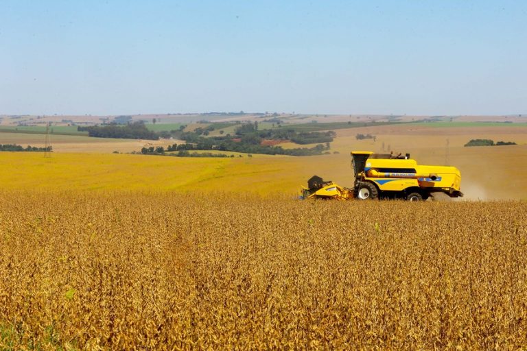 Agropecuária - plantações - soja grãos agricultura fazendas rurais campo produção máquinas agrícolas exportações PIB comércio exterior (colheita da safra 2020 de soja no Paraná)