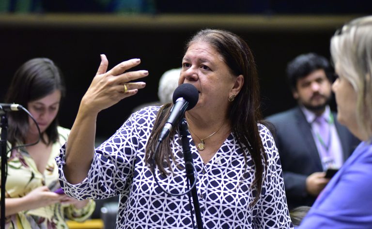 Deputada Laura Carneiro fala ao microfone