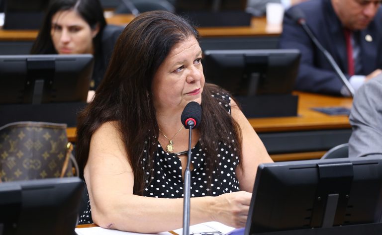 Deputada Laura Carneiro (PSD-RJ) na Comissão de Previdência, Assistência Social, Infância, Adolescência e Família da Câmara dos Deputados