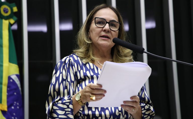 Discussão e votação de propostas. Dep. Professora Goreth(PDT - AP)