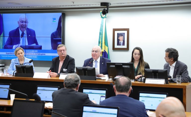 Audiência Pública - Experiências internacionais na produção de hidrogênio. Gerente do Comitê Econômico e Social - América Latina - Comitê Econômico e Social Europeu - EESC, Ewa Tomazewka, Presidente do Comitê Econômico e Social para a América Latina, Carlos Silva,Dep. Arnaldo Jardim(Cidadania-SP), Dep. Fernando Mineiro(PT-RN).