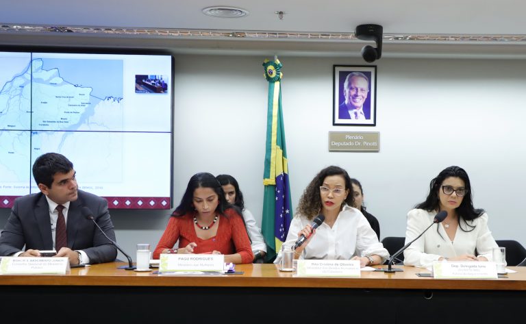 Audiência Pública - Exploração sexual infantil na Ilha do Marajó, estado do Pará. Membro Auxiliar - Comissão da Infância Juventude e Educação (CIJE/CNMP), Moacir Silva do Nascimento Júnior. Secretária substituta da Secretária Nacional de Enfrentamento a Violência Contra as Mulheres - Ministério das Mulheres, Pagu (Patrícia) Rodrigues. Secretária-Executiva - Ministério dos Direitos Humanos e da Cidadania, Rita Cristina de Oliveira. Dep. Delegada Ione (AVANTE - MG)