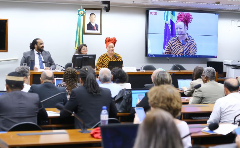 Mesa Redonda - Jornada de Direitos Humanos 2024. Dep. Daiana Santos (PCdoB - RS)