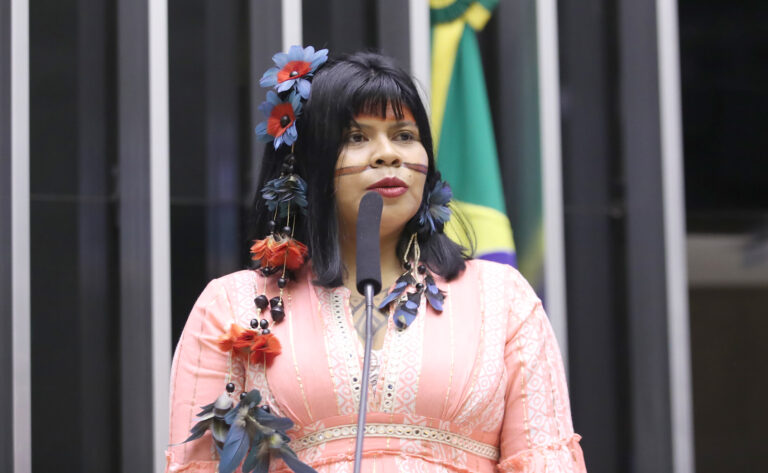 Homenagem aos 35 anos da Coordenação das Organizações Indígenas da Amazônia Brasileira – Coiab. Coordenadora da Federação dos Povos e Organizações Indígenas do Mato Grosso - FEPOIMT, Eliane Xunakalo