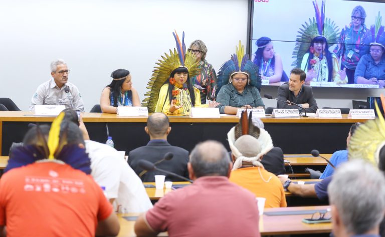 Audiência Pública - Política Nacional de Gestão Territorial e Ambiental de Terras Indígena. Coordenador-Geral de Gestão Sociambiental do Instituto Chico Mendes de Conservação da Biodiversidade - ICMBio - Instituto Chico Mendes de Conservação da Biodiversidade - ICMBio, Sérgio Fernandes Freitas; Representante da Coordenação das Organizações Indígenas da Amazônia Brasileira (COIAB) - Coordenação das Organizações Indígenas da Amazônia Brasileira (COIAB), Auricélia Arapium; Dep. Célia Xakriabá (PSOL - MG); Secretária Nacional de Gestão Ambiental e Territorial do Ministério dos Povos Indígenas (MPI) - Ministério dos Povos Indígenas (MPI), Ceiça Pitaguari e Representante do Ministério do Meio Ambiente e Mudança do Clima (MMA) - Ministério do Meio Ambiente e Mudança do Clima (MMA), Rodrigo Augusto de Lima Medeiros