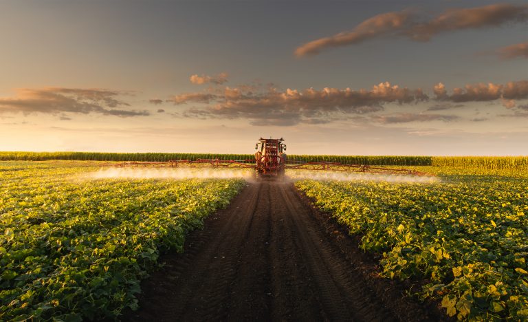 Trator pulverizando campo vegetal ao pôr do sol.