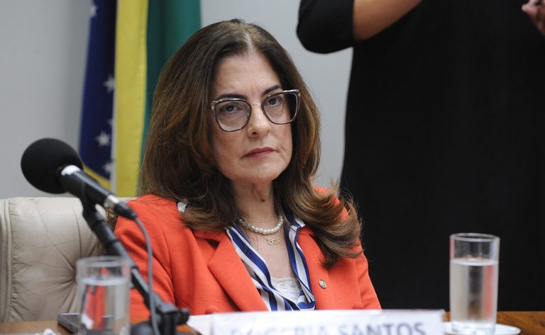 Primeira Infância, Infância, Adolescência e Juventude: Urgência climática, inteligência artificial, saúde e violências. Dep. Rogéria Santos (REPUBLICANOS - BA)