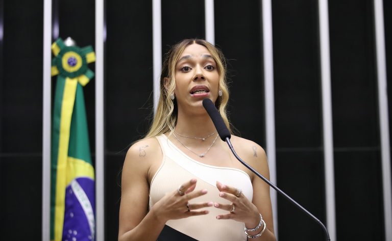 Discussão e votação de propostas. Dep. Erika Hilton(PSOL - SP)