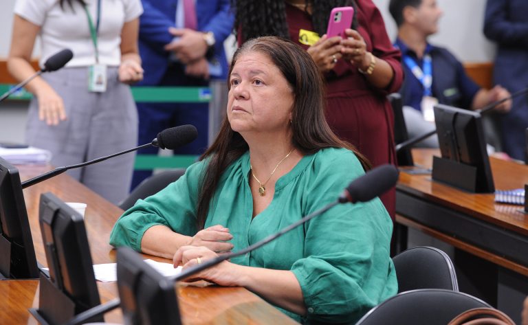 Deputada Laura Carneiro fala ao microfone. Ela é branca, tem o cabelo comprido e escuro, veste uma blusa verde