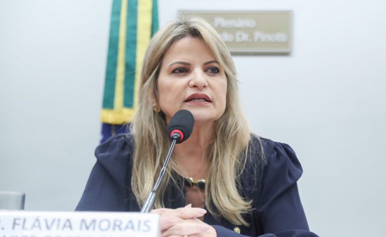 Audiência Pública - Panorama da atenção ao câncer de mama no SUS. Dep. Flávia Morais (PDT-GO)