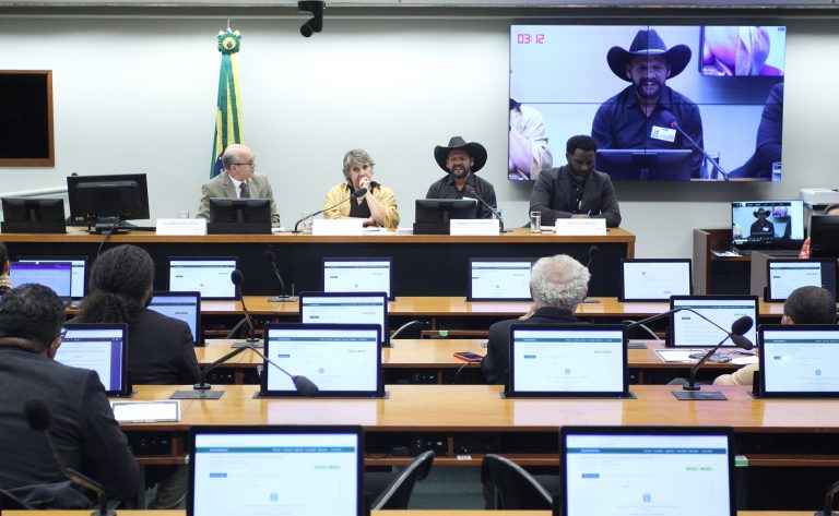 Audiência Pública - Estatuto dos Povos Ciganos. Subprocurador-Geral Da República - Ministério Público Federal, Luciano Mariz Maia; Dep. Erika Kokay (PT - DF); Presidente Administrativo - Associação Nacional Das Etnias Ciganas, Wanderley Da Rocha; Secretário Nacional De Políticas Para Quilombolas, Povos E Comunidades Tradicionais De Matriz Africana, Povos De Terreiros E Ciganos - Ministério Da Igualdade Racial, Ronaldo Santos