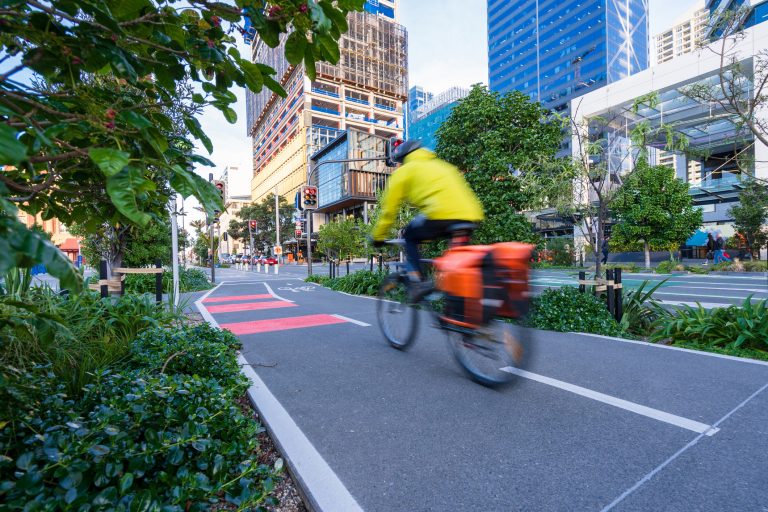 Um ciclista trafega por uma ciclovia numa cidade arborizada