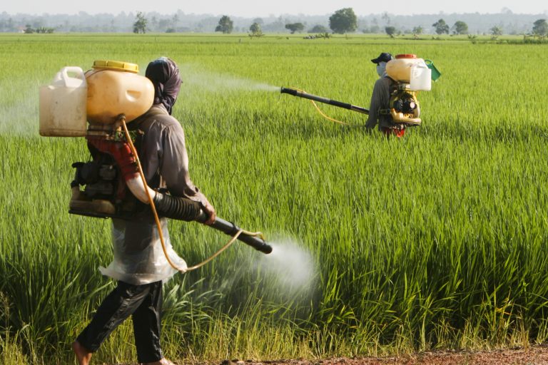 Funcionários aplicam agrotóxico na lavoura