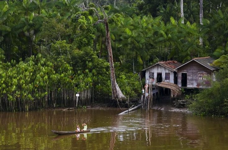 Meio Ambiente - Amazônia - ribeirinhos população ribeirinha amazônidas região Norte (Afuá-PA, ilha de Marajó)