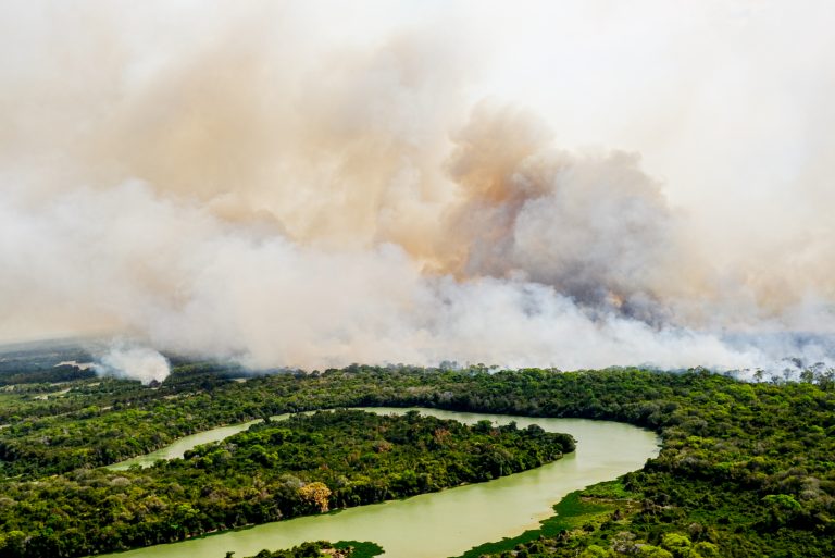 Meio Ambiente - queimada e desmatamento - destruição ambiental biomas vegetação desastres ecológicos aquecimento global temperaturas (queimadas e incêndios florestais no Pantanal, agosto de 2020)