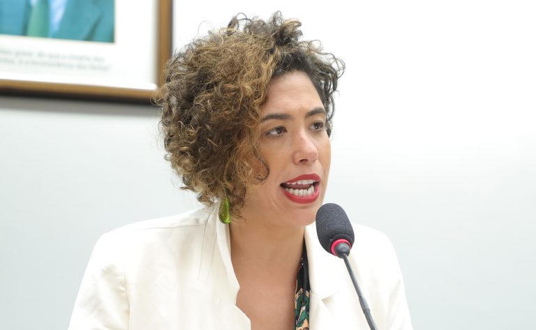 Audiência Pública - Aspectos da Economia de Cuidado.Dep.Talíria Petrone(PSOL-RJ).