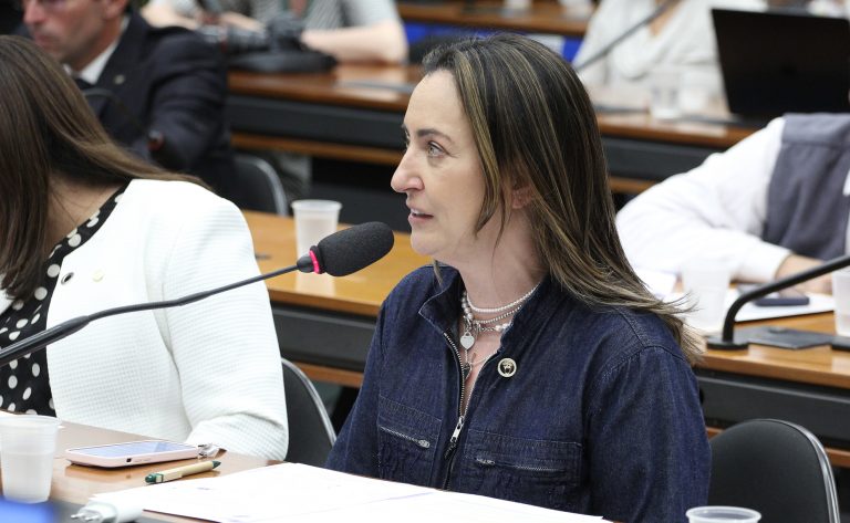 Audiência Pública - Ministro esclarece políticas para pessoas com deficiência. Dep. Rosangela Moro(UNIÃO - SP)