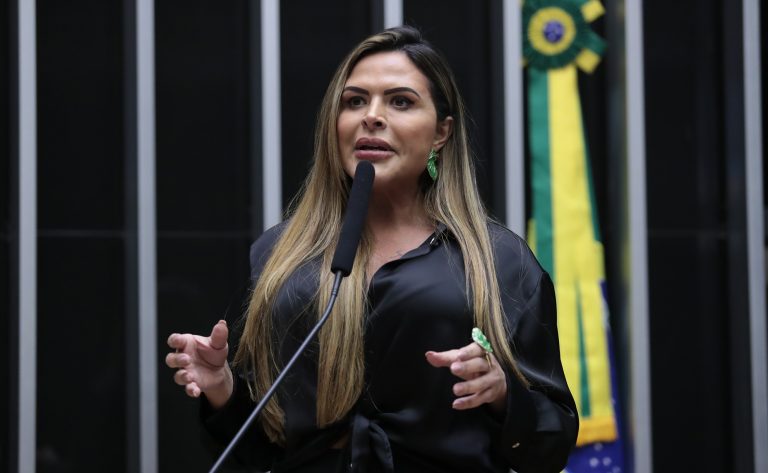 Discussão e votação de propostas. Dep. Silvye Alves (UNIÃO - GO)