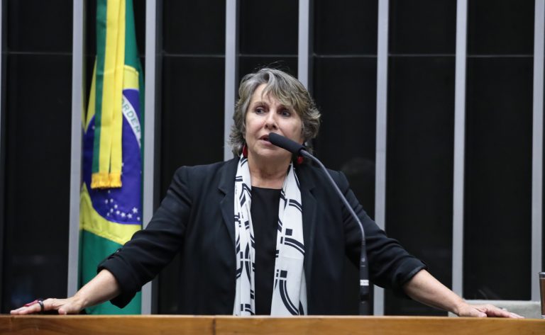 Discussão e votação de propostas. Dep. Erika Kokay (PT - DF)