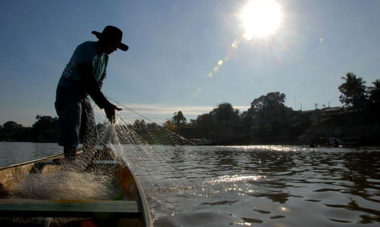 Pescador artesanal