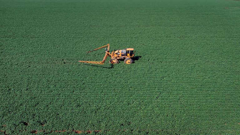 Agropecuária - plantações - Lavoura de Algodão - tratores