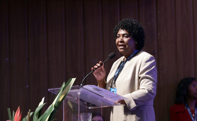 1ª Reunião de Mulheres Parlamentares. Dep. Benedita da Silva (PT - RJ)