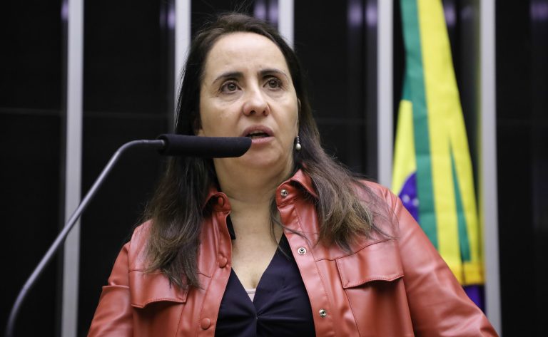 Discussão e votação de propostas. Dep. Adriana Ventura (NOVO-SP)