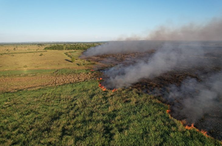 Vista aérea de uma ampla área de vegetação pegando fogo