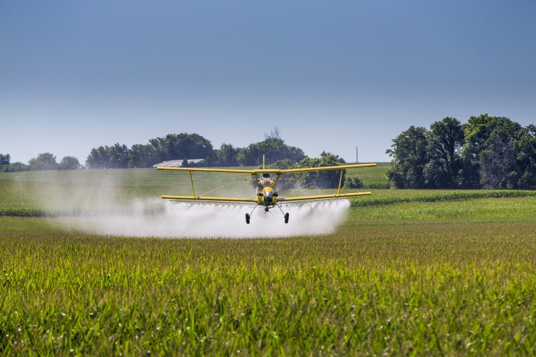 Avião joga agrotóxico em plantação