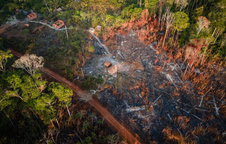 Meio Ambiente - Queimadas e desmatamento - No Pará, a Terra Indígena Alto Rio Guamá sofreu com incêndios florestais e viu o desmatamento crescer em meio à pandemia