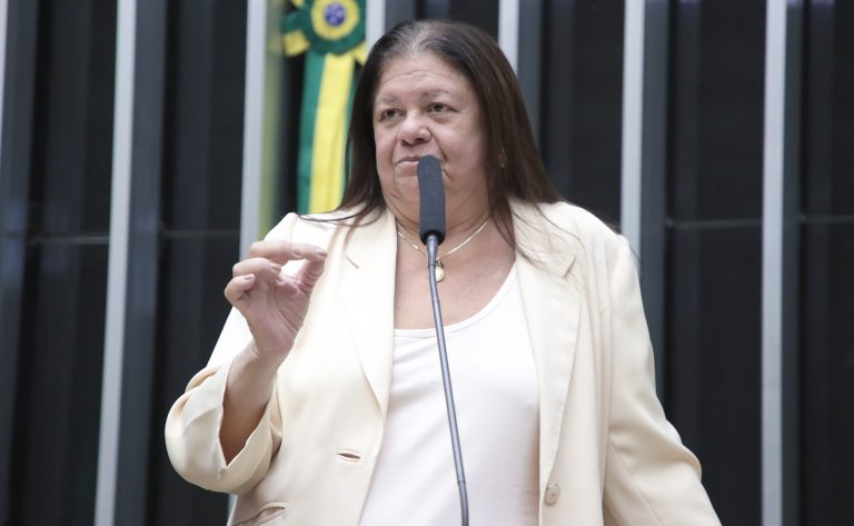 Discussão e votação de propostas. Dep. Laura Carneiro (PSD - RJ)