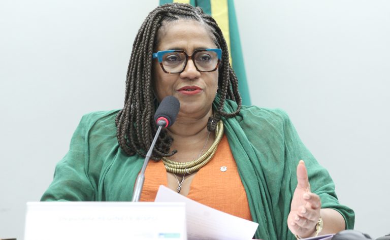 Audiência Pública - O Impacto da Lei Maria da Penha no Brasil. Dep. Reginete Bispo (PT - RS)