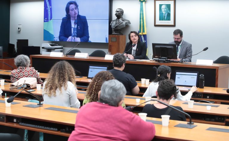 Audiência Pública -Políticas públicas e direitos das mulheres lésbicas no Brasil. Dep. Carla Ayres (PT - SC)