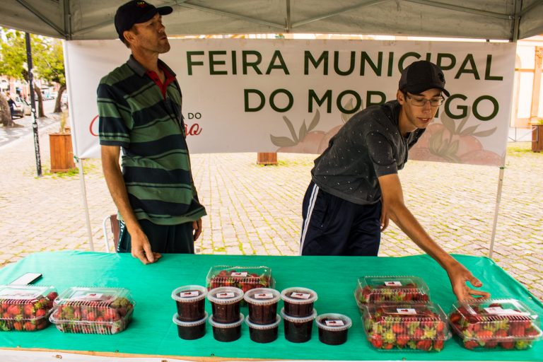 Agropecuária - geral - produtores rurais morangos feira produtos agropecuários geleias frutas