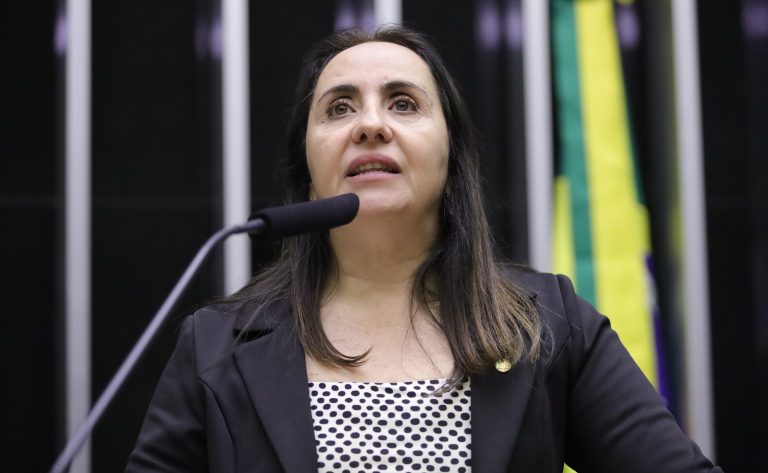 Deputada Adriana Ventura fala ao microfone